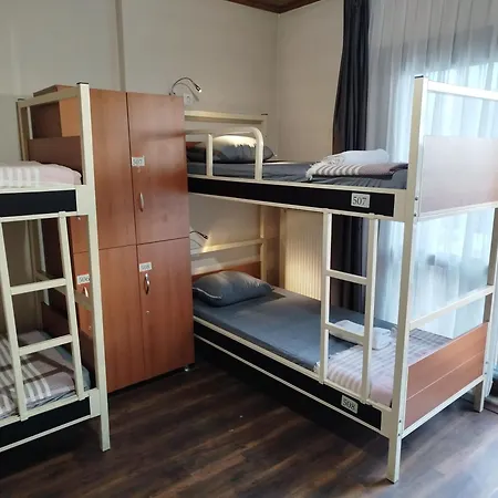 Ivy Cafe Hostel